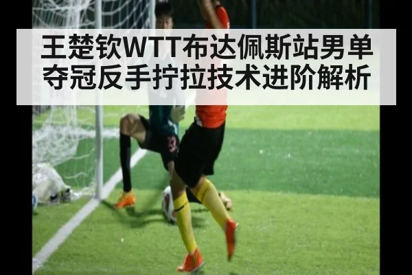 王楚钦WTT布达佩斯站男单夺冠反手拧拉技术进阶解析