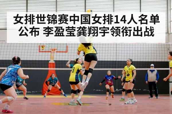 volleyball match action