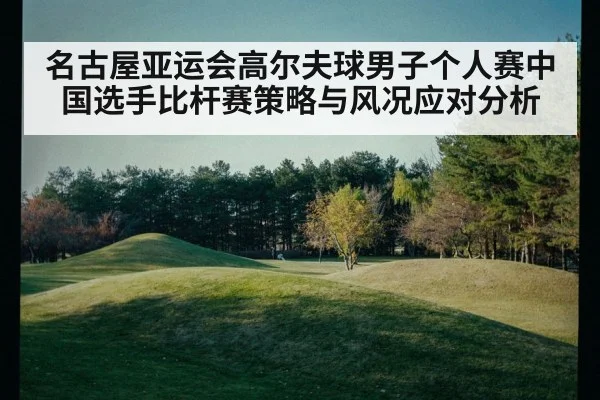 名古屋亚运会高尔夫球男子个人赛中国选手比杆赛策略与风况应对分析